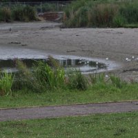 Ontdek de geheimen van het Wilhelminapark