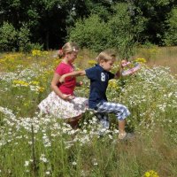 Na Rijswijk nu in heel Zuid Holland meer bloem- en kruidenrijk grasland