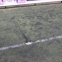 Gemeente verwijdert doelpalen Haaglandia