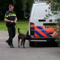 Inbreker gestoord in zijn werk