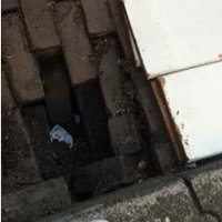 Gemeente Rijswijk snel met opvullen sinkholes