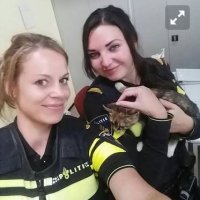 Politie redt gedumpte kitten en pakt daders
