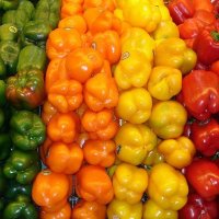 (2)Grote aantallen bloemen, planten en fruit