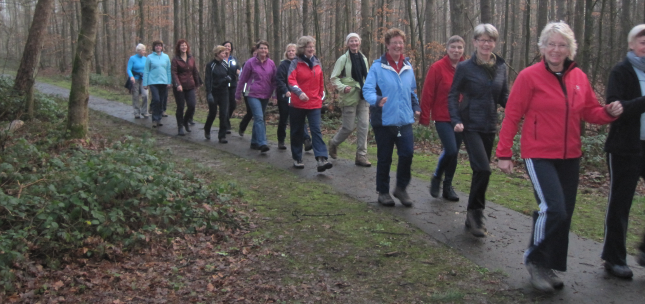Wandelen voor Beginners