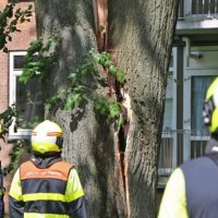 Boom dreigt om te vallen door storm