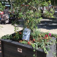 Nieuwe beplanting in winkelcentrum In de Bogaard
