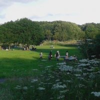 BBQ-weide Wilhelminapark volop in gebruik