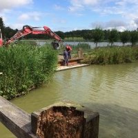 Vissen gaan uit zwemvijver Wilhelminapark