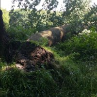Natuur is sterker dan de mens