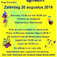 Zomerse Summer Dance optocht