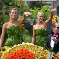 (1)Drie dagen beeldschoon Varend Corso