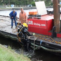 Duiker zoekt in water van de Rijswijkse Vliet
