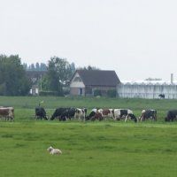 Tuinder haalt bakzeil bij Raad van State