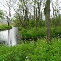 Stichting Kinderboerderij officieel opgericht