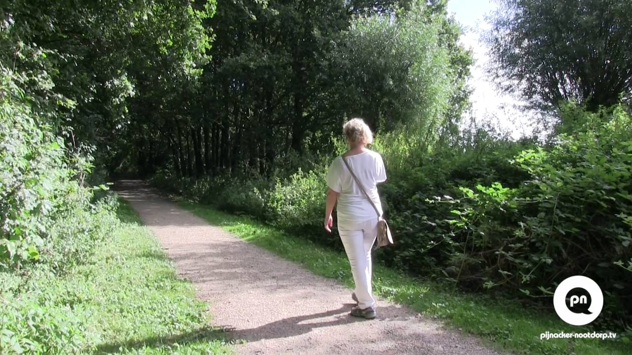 Portret: Elmie Zandbergen, wandelcoach