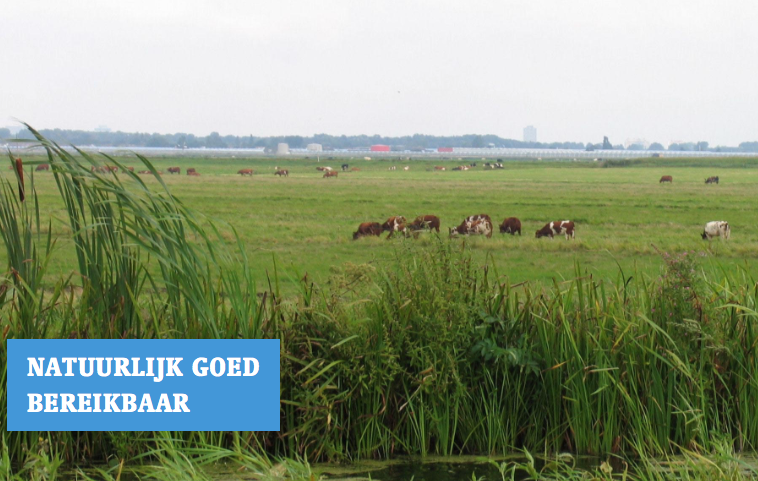 Natuurlijk Pijnacker-promotie tijdens De Verbeelding