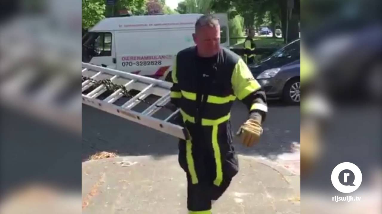 Rijswijk TV | Kat ontsnapt aan verstikking door hitte