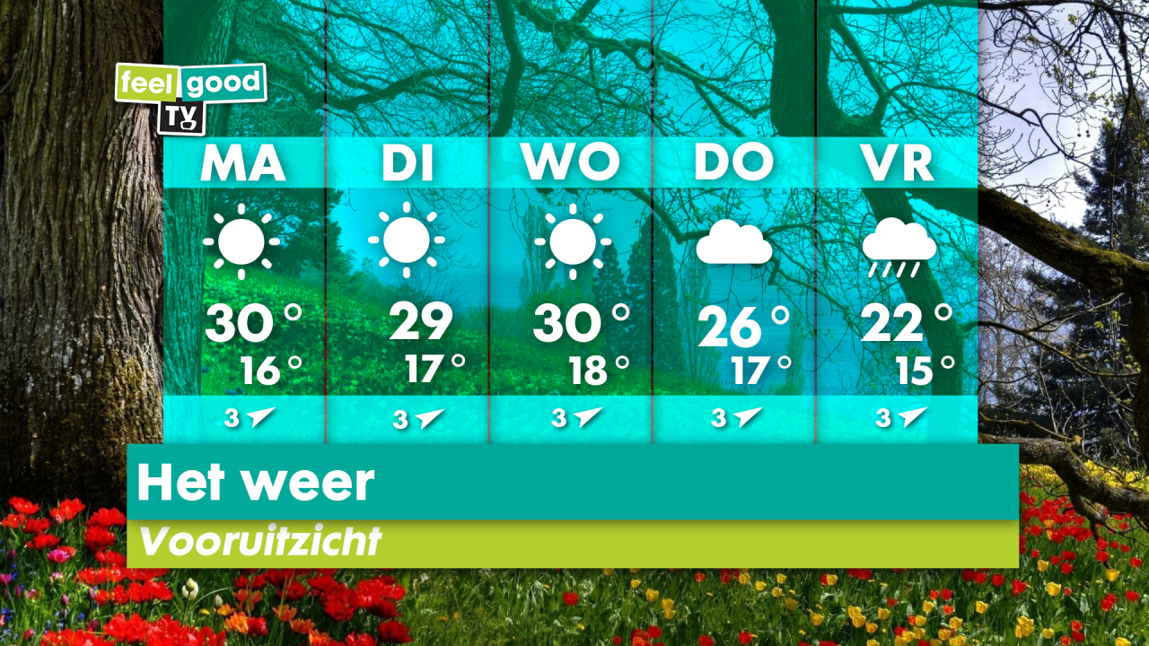 Tropisch warm in Rijswijk