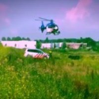 Politiehelicopter jaagt koe de wei in
