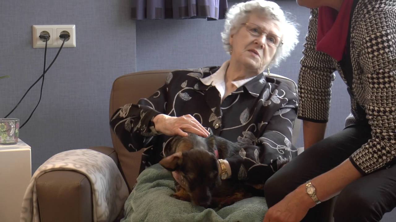 Laat je hond aaien in een woonzorgcentrum