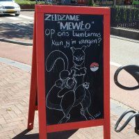 Pokémon rage ook in Pijnacker-Nootdorp