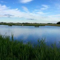 Ander gebied nodig voor weidevogels