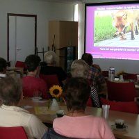 Zomeracademie SWOP weer groot succes