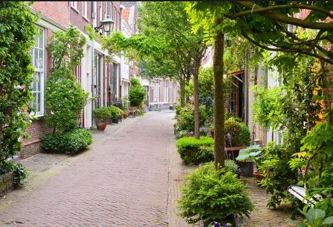 Burgemeester Bezuijen opent eerste Groencafe
