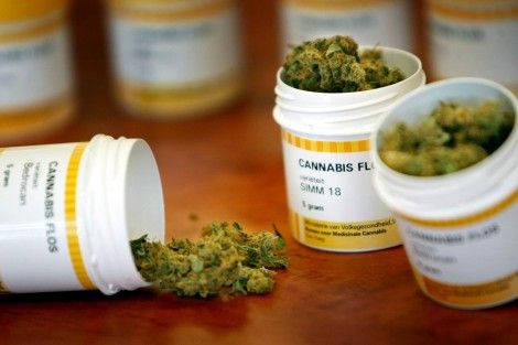 ‘Gedoog kweek van medicinale cannabis’