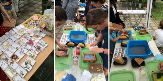 Papier maken van melkpakken in museumtuin