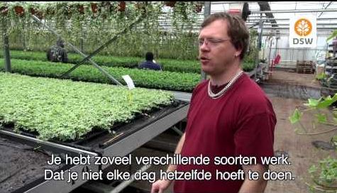 DSW kwekerij moet weg voor huizenbouw