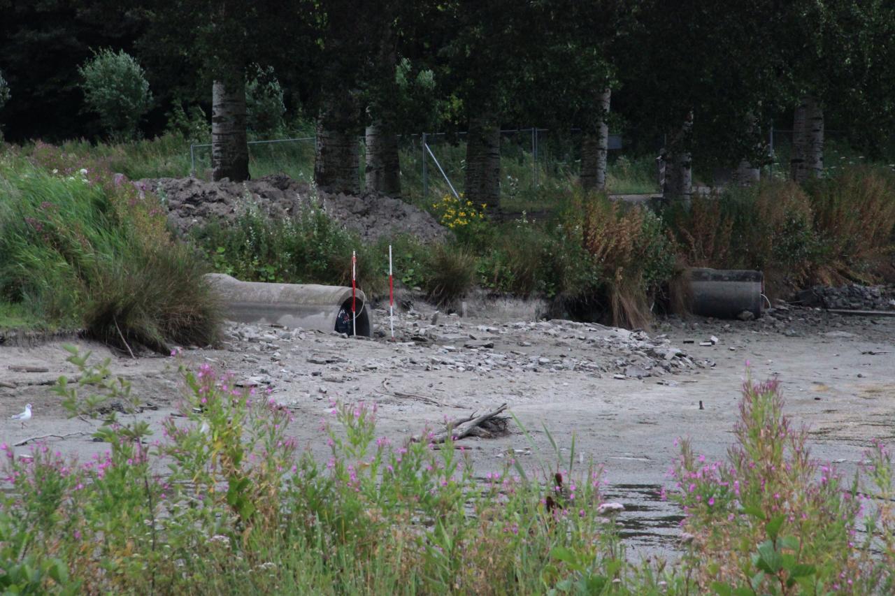 Water terug in zwemplas Wilhelminapark