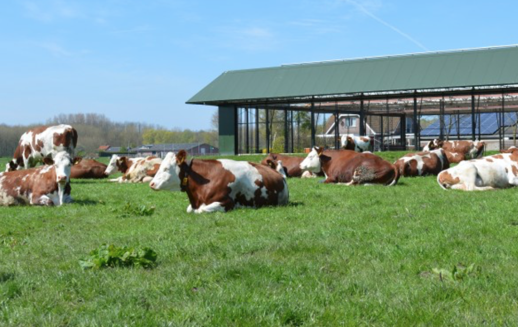 Hoeve Biesland kandidaat voor Ondernemersprijs