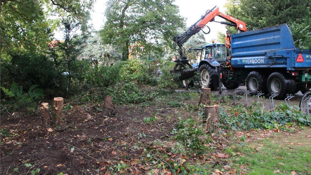 Park Hofrust krijgt oude glorie terug