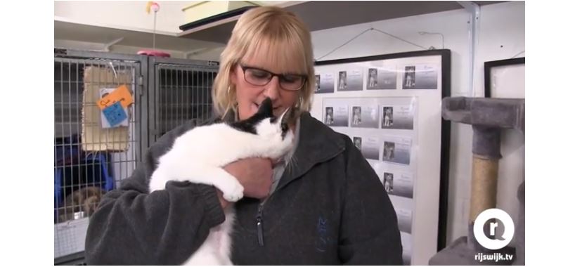 Tralies weg in dierenasiel ’t Julialaantje