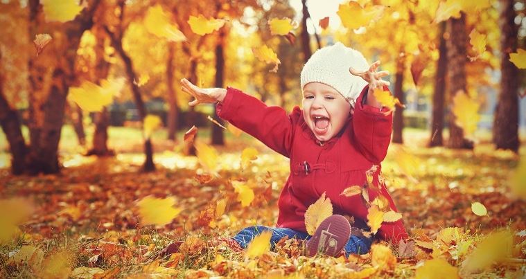 Wie maakt mooie herfstfoto