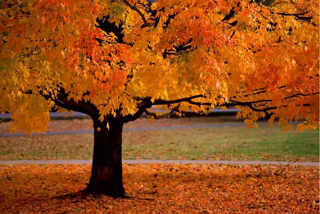 Mooie herfst, maar wel gevaarlijk
