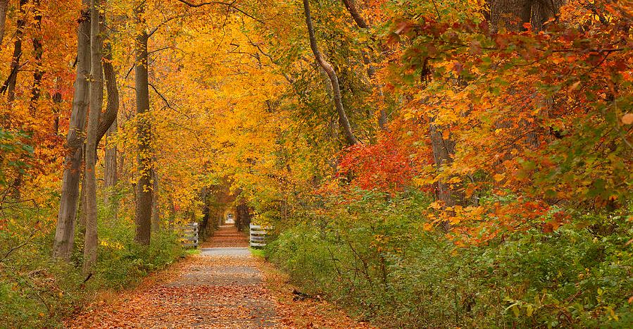 Herfstwandeling door de Rijswijkse natuur