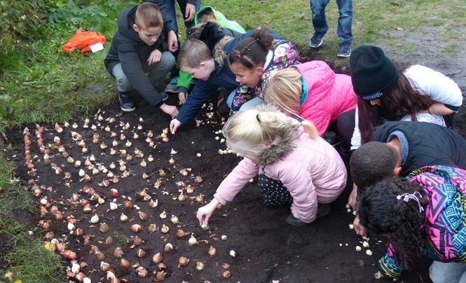 Bloembollen planten met wethouder Marloes Borsboom