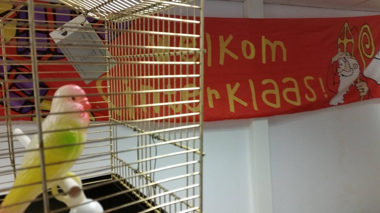 Schoentje zetten in Sinterklaashuis