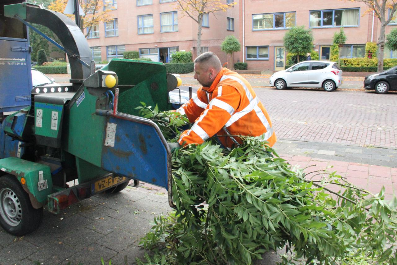 Veel snoeiwerk aan bomen en struiken
