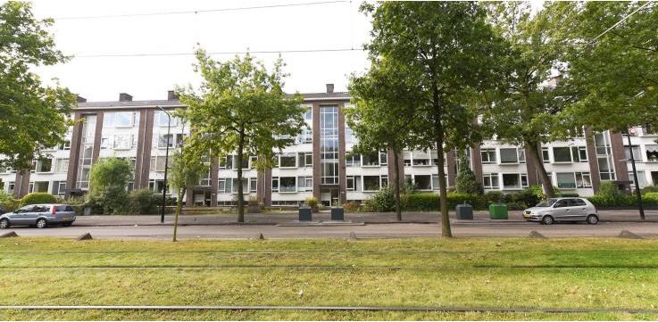 Graafwerkzaamheden Burgemeester Elsenlaan