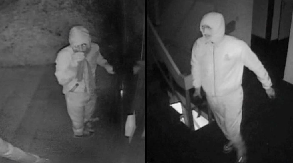 Bedrijfsinbraak door twee inbrekers in Rijswijk