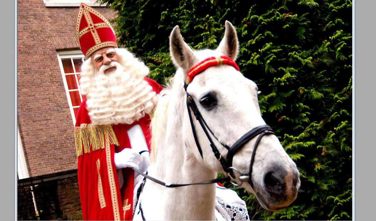 Sinterklaas is online sint@winkelcentrumoudrijswijk.nl