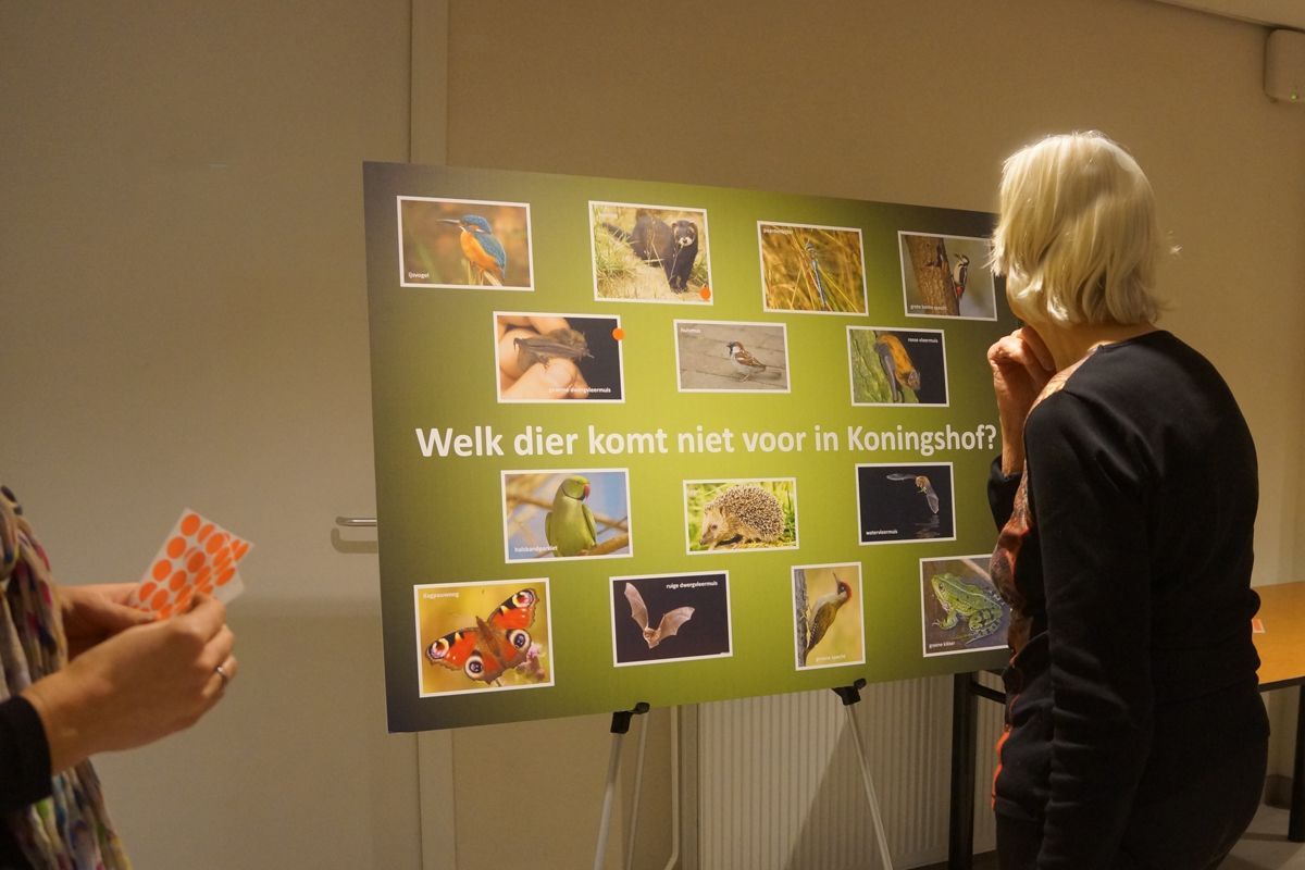 Groengebied Koningshof krijgt een opknapbeurt