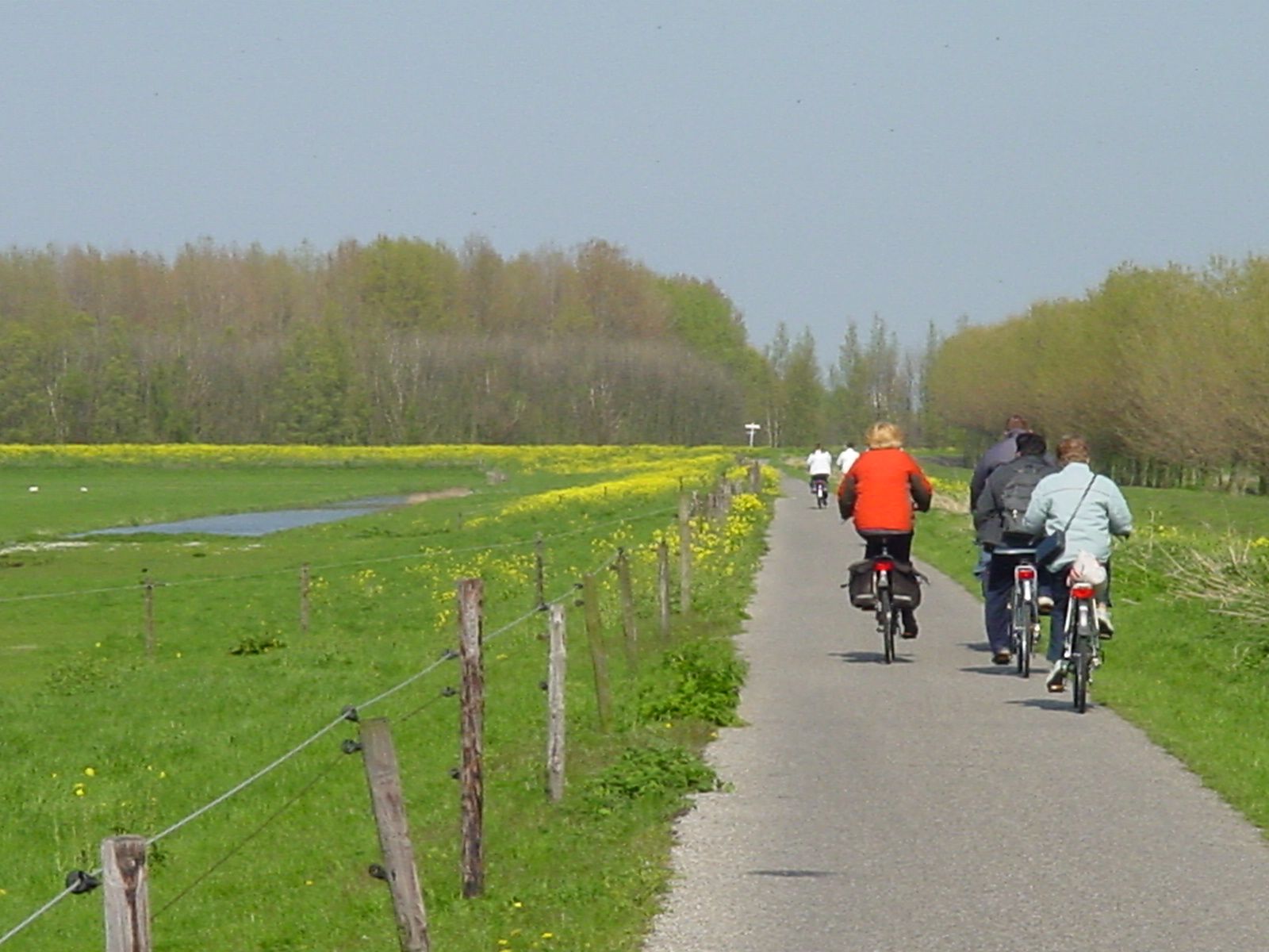 Wagenings onderzoek bij Bieslandse bos