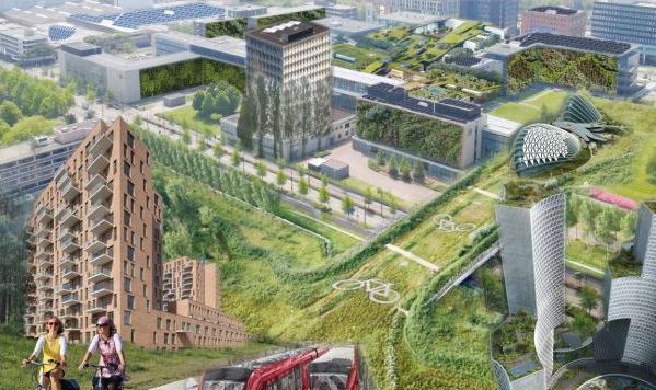 Resultaten nieuwe beleid Plaspoelpolder zichtbaar