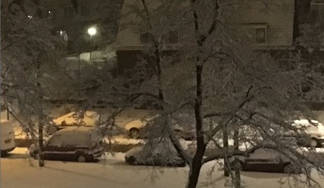 Sneeuw in Oud Rijswijk