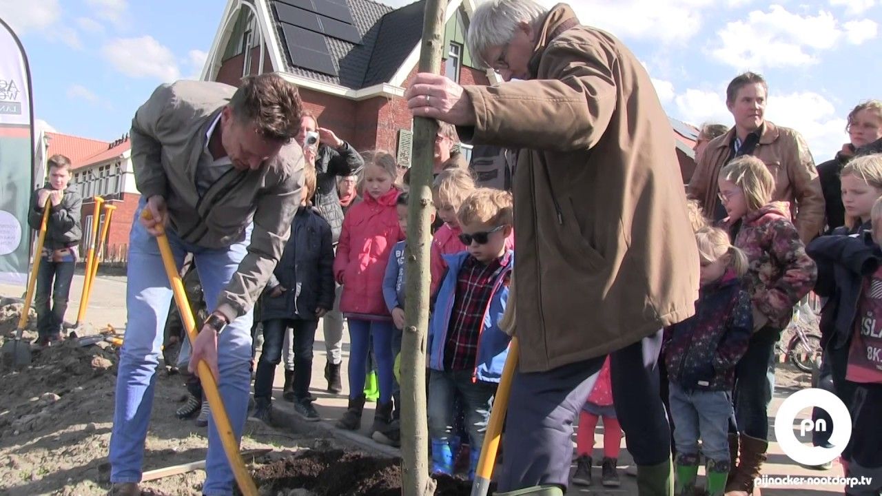 Piet Melzer plant knotwilgen in Ackerswoude