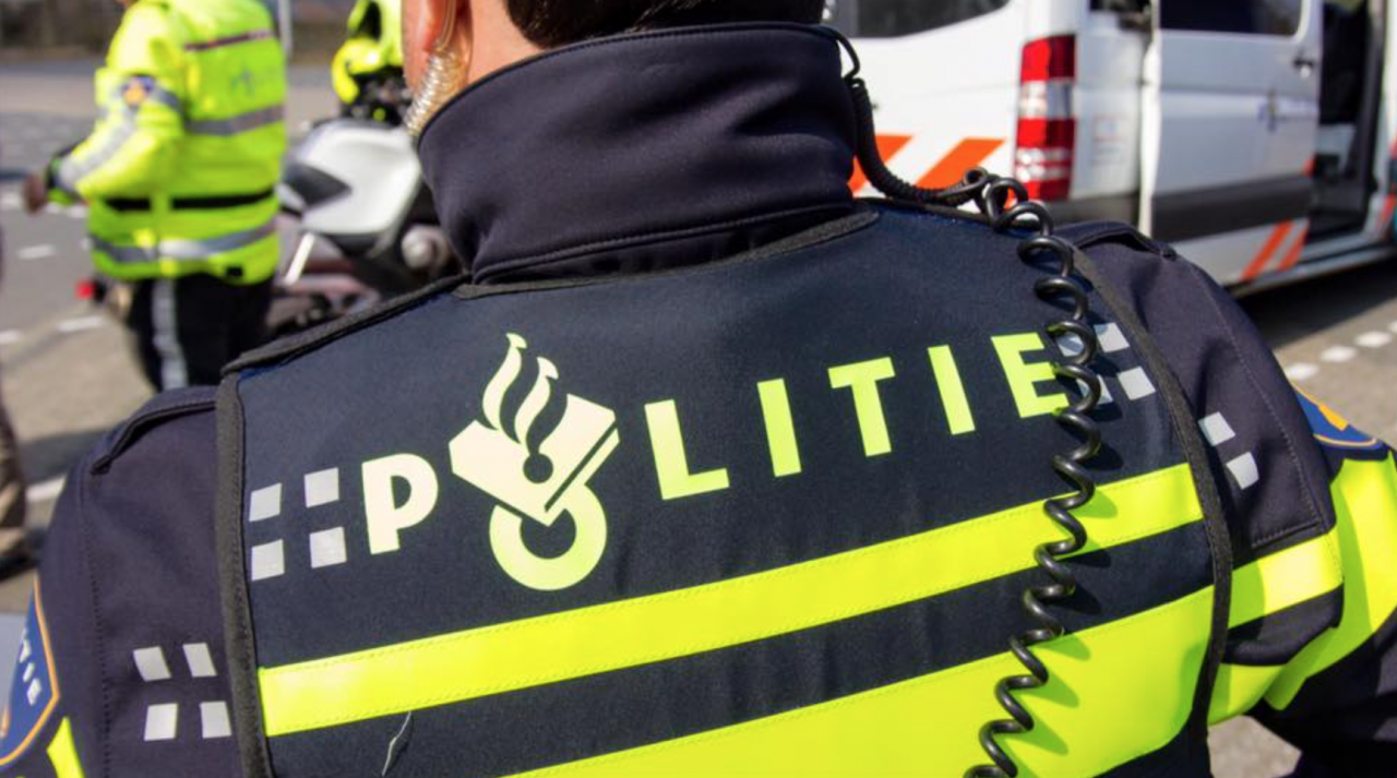 Straatrovers Rijswijk opgepakt